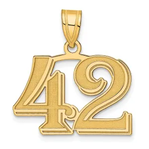 14k Yellow Gold Polished Etched Finish Number 42 Charm Pendant