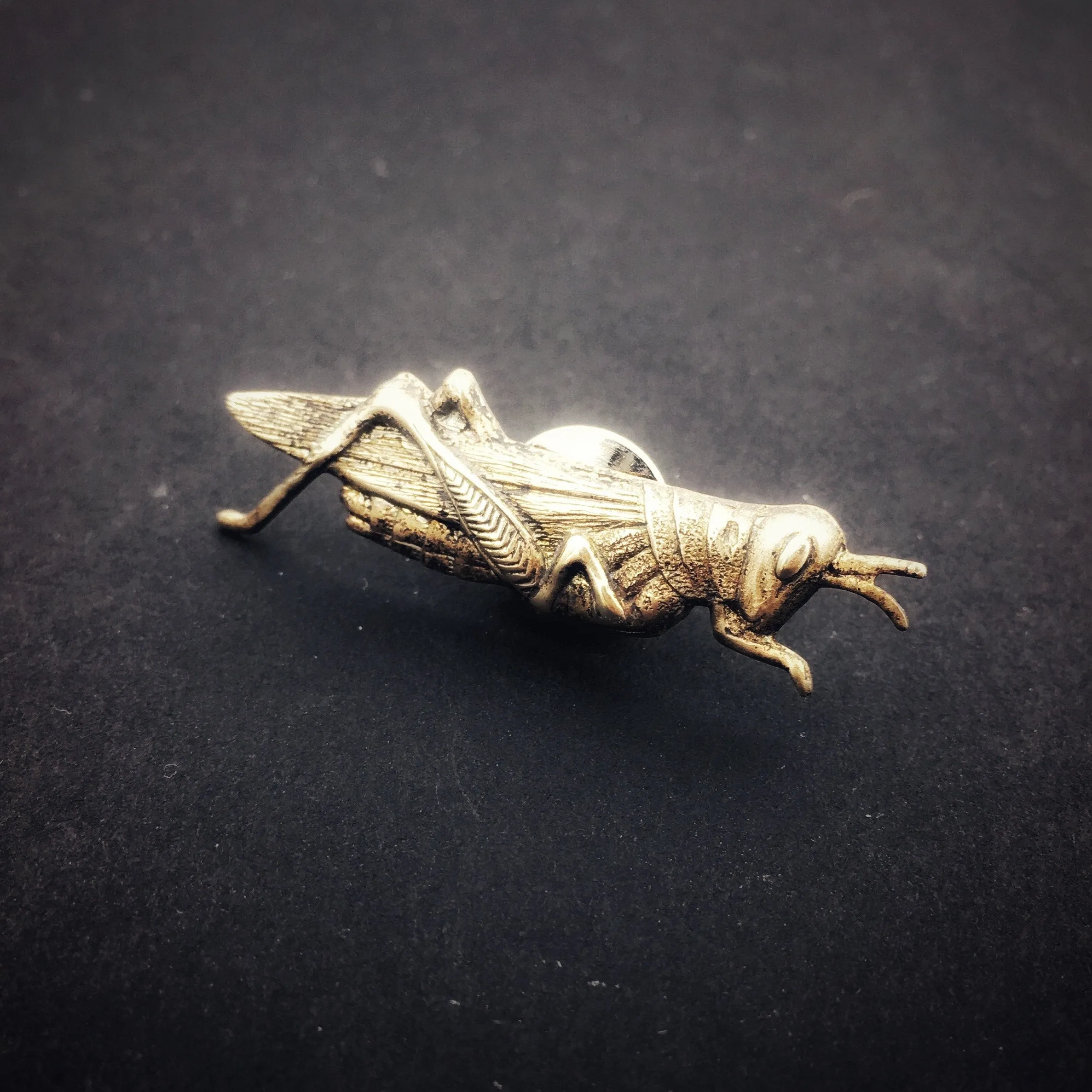 Brass Grasshopper or Cricket Insect Pin or Brooch