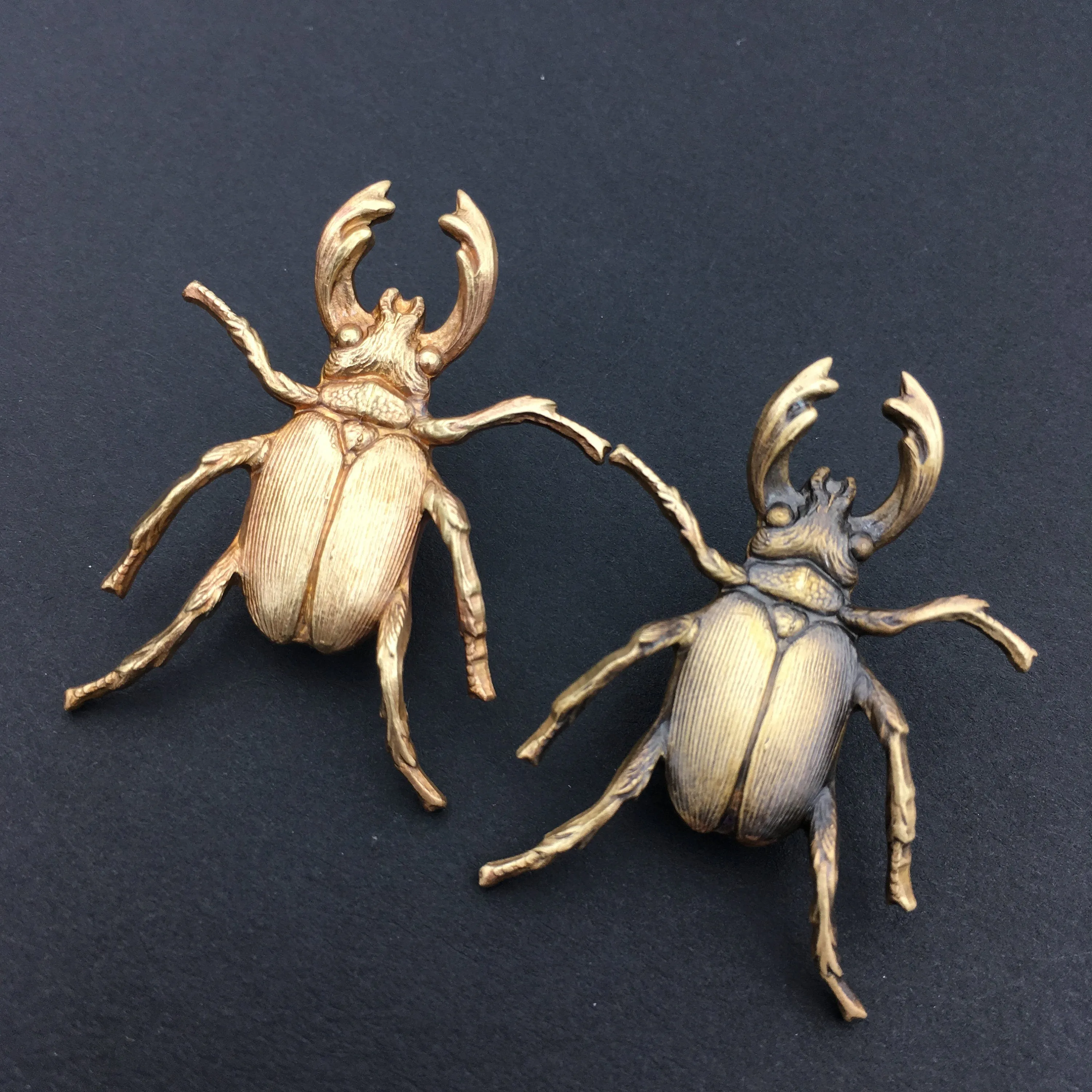 Brass Stag Beetle Insect Pin or Brooch