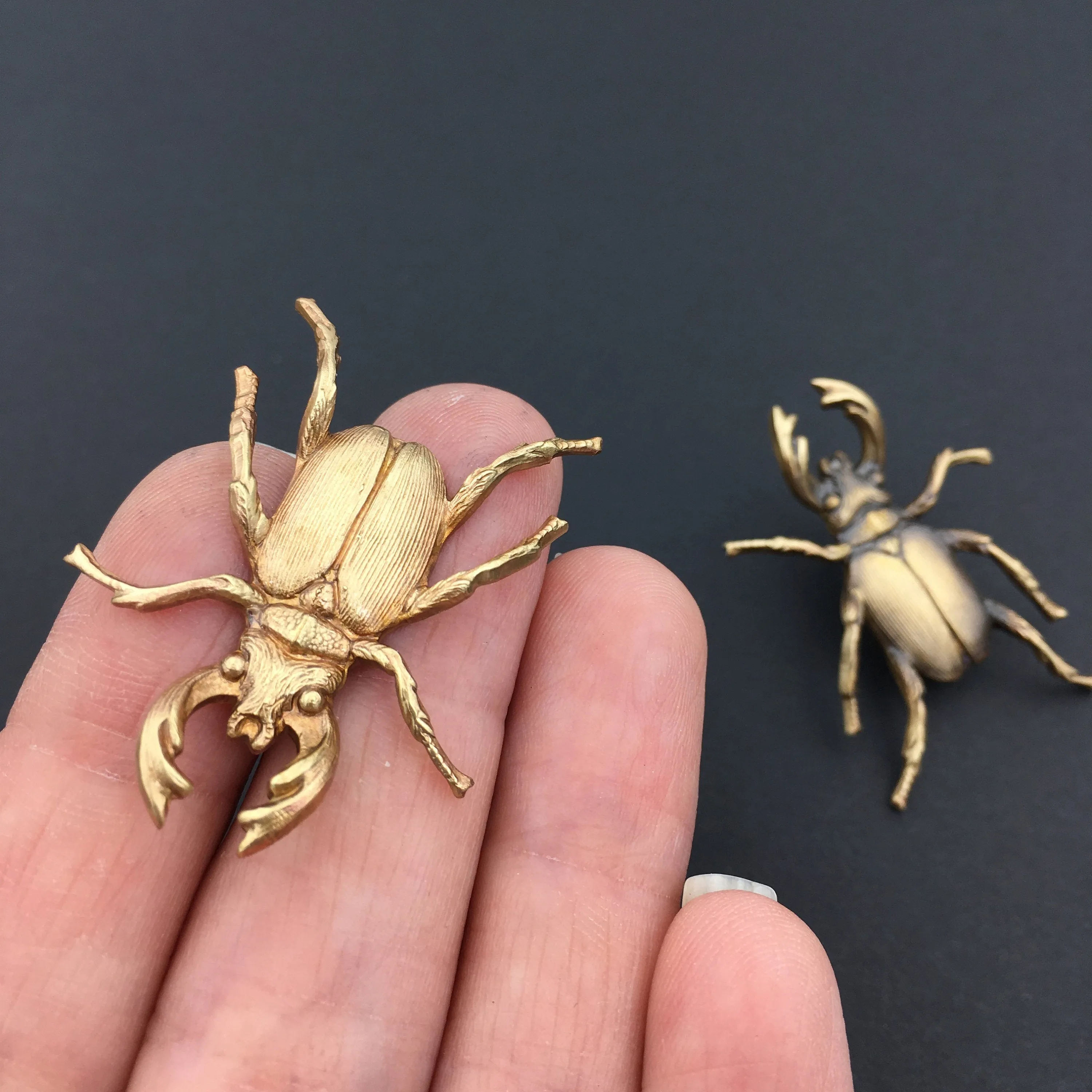 Brass Stag Beetle Insect Pin or Brooch