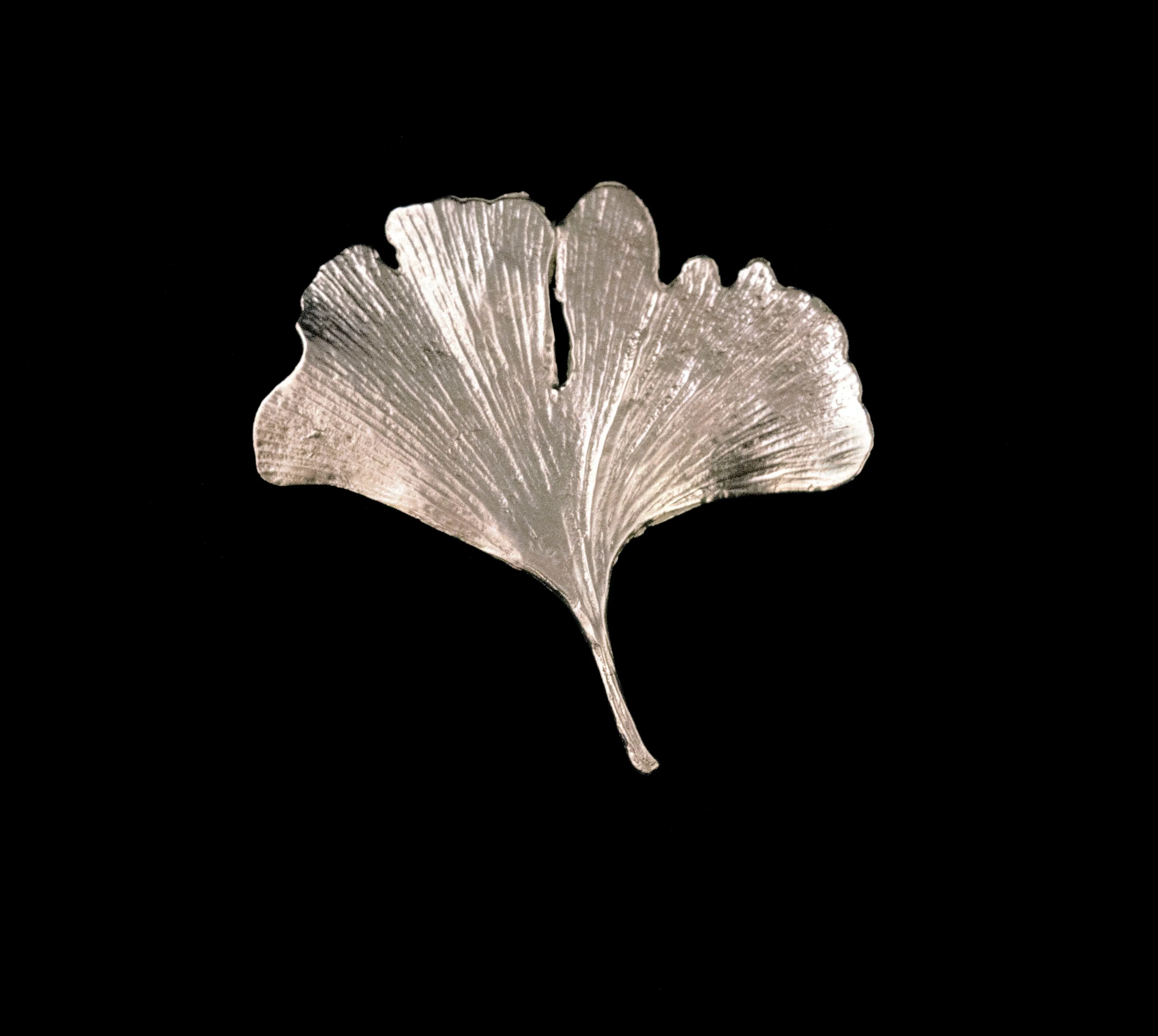 Fine Ginkgo Silver Brooch