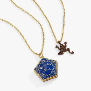 HARRY POTTER Chocolate Frog Necklace Set